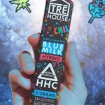 Tre House Review